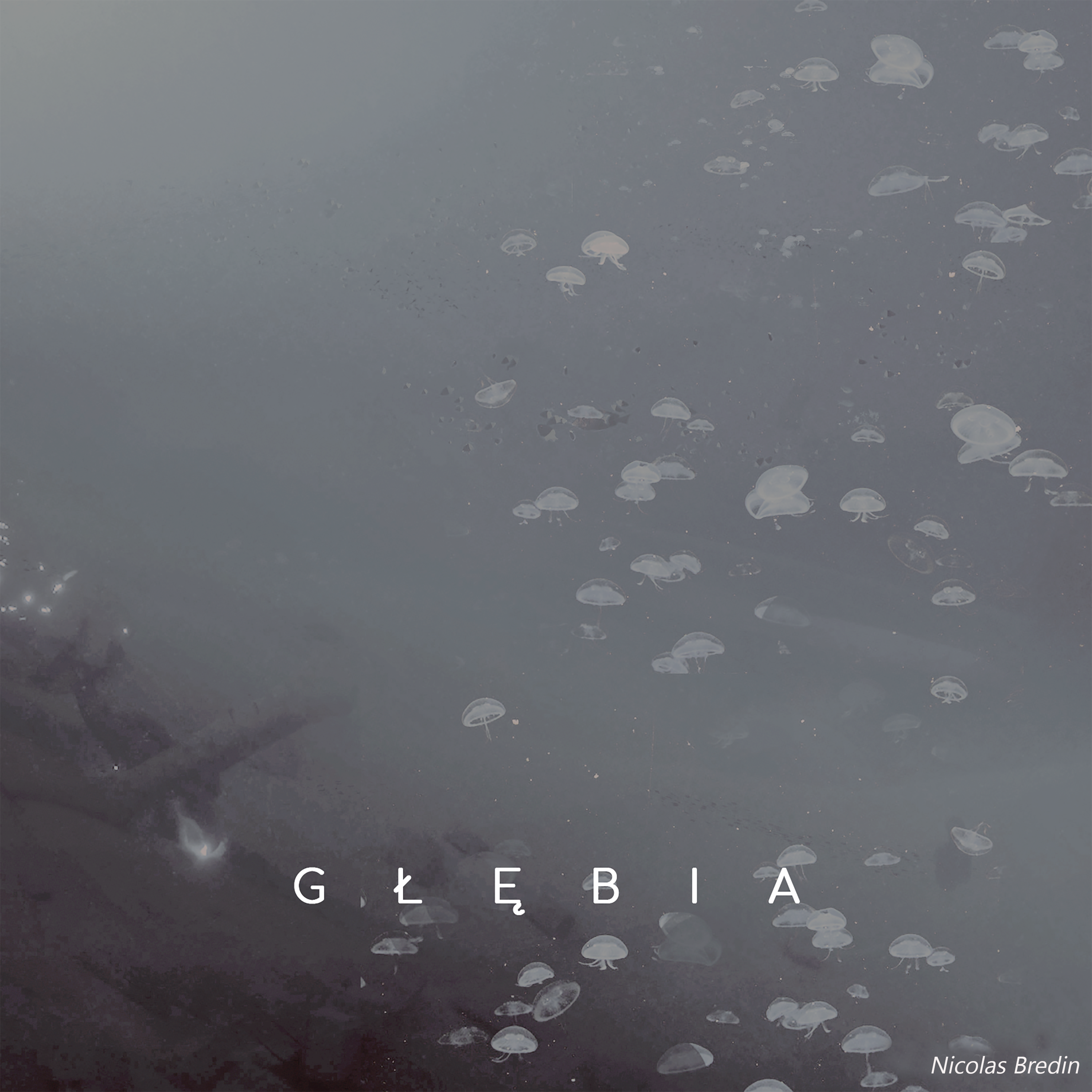 Glebia_NicolasBredin_CoverGen