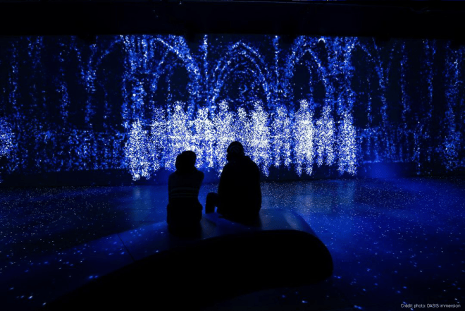 Notes on Blindness — OASIS immersion, Montréal | Sound Design & Audio Editing